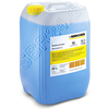 KÃ¤rcher Bodengrundreiniger RM 69 ASF eco!efficiency  20 l (6.295-652.0)