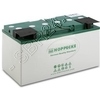 Antriebsbatterie wartungsfrei 80Ah (6.654-264.0)